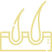 ویزیت-پوست-مو